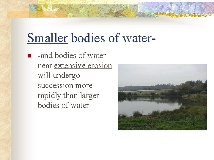 Smaller bodies of watern -and bodies of water near extensive erosion will undergo succession