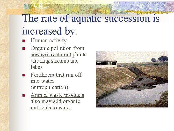 The rate of aquatic succession is increased by: n n Human activity Organic pollution