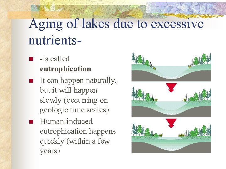 Aging of lakes due to excessive nutrientsn n n -is called eutrophication It can