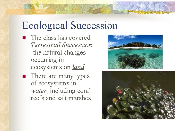 Ecological Succession n n The class has covered Terrestrial Succession -the natural changes occurring