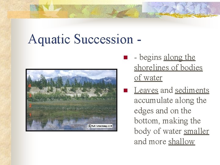 Aquatic Succession n n - begins along the shorelines of bodies of water Leaves