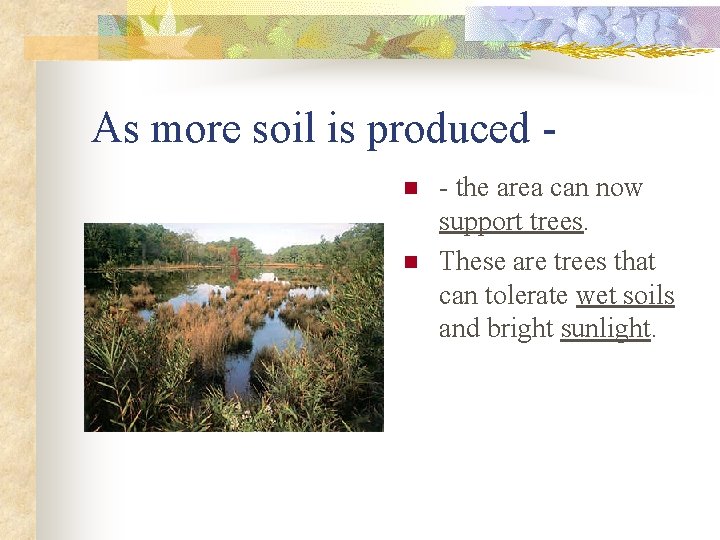 As more soil is produced n n - the area can now support trees.