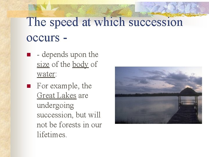 The speed at which succession occurs n n - depends upon the size of