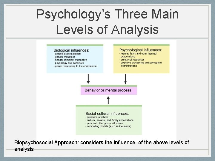 Psychology’s Three Main Levels of Analysis Biopsychosocial Approach: considers the influence of the above