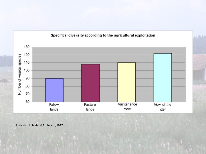 According to Meier & Rudmann, 1997 According to Meier & Rudmann, 1997