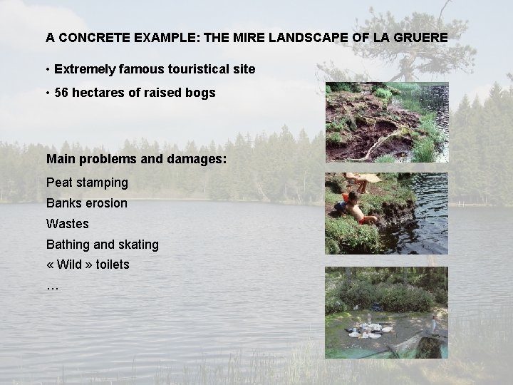 A CONCRETE EXAMPLE: THE MIRE LANDSCAPE OF LA GRUERE • Extremely famous touristical site A CONCRETE EXAMPLE: THE MIRE LANDSCAPE OF LA GRUERE • Extremely famous touristical site