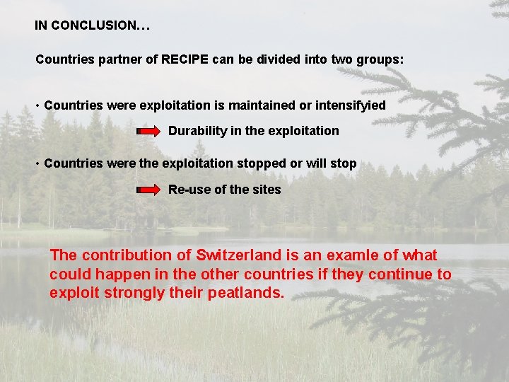 IN CONCLUSION… Countries partner of RECIPE can be divided into two groups: • Countries IN CONCLUSION… Countries partner of RECIPE can be divided into two groups: • Countries