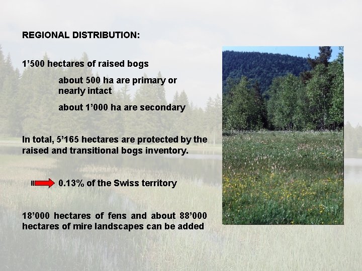 REGIONAL DISTRIBUTION: 1’ 500 hectares of raised bogs about 500 ha are primary or REGIONAL DISTRIBUTION: 1’ 500 hectares of raised bogs about 500 ha are primary or