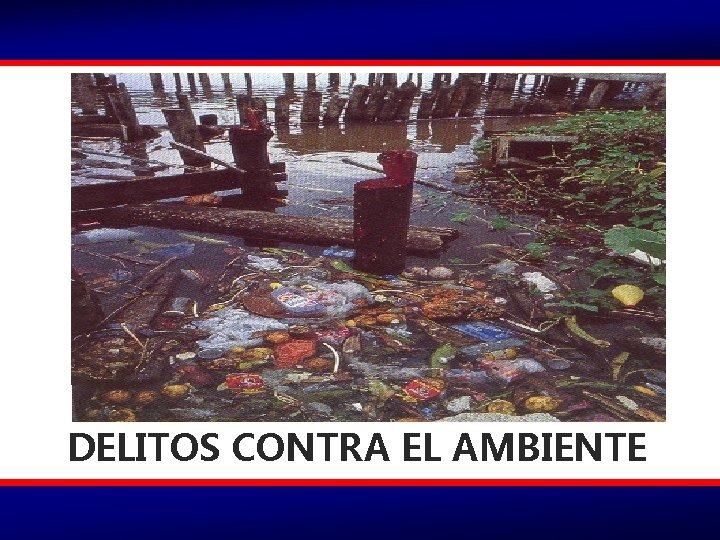 DELITOS CONTRA EL AMBIENTE 