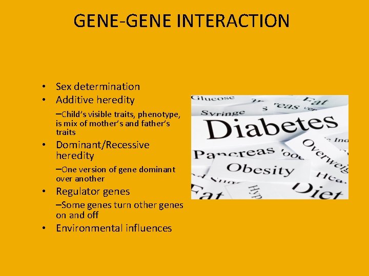 GENE-GENE INTERACTION • Sex determination • Additive heredity –Child’s visible traits, phenotype, is mix