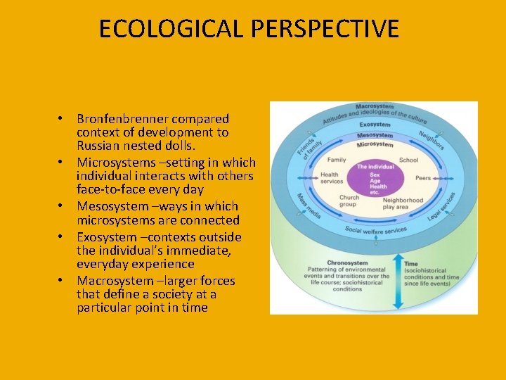 ECOLOGICAL PERSPECTIVE • Bronfenbrenner compared context of development to Russian nested dolls. • Microsystems