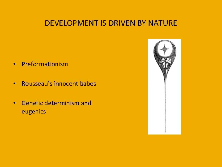DEVELOPMENT IS DRIVEN BY NATURE • Preformationism • Rousseau’s innocent babes • Genetic determinism