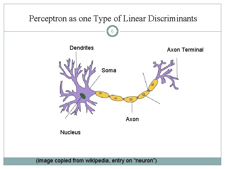 Perceptron as one Type of Linear Discriminants 6 Dendrites Axon Terminal Soma Axon Nucleus