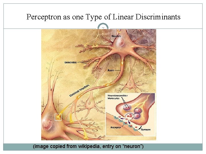 Perceptron as one Type of Linear Discriminants 7 (image copied from wikipedia, entry on