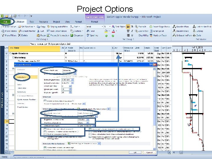 Project Options 2/1//2016 Project Administration Institute, Inc. 15 