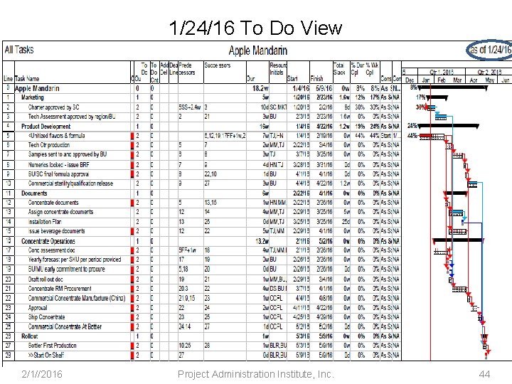 1/24/16 To Do View 2/1//2016 Project Administration Institute, Inc. 44 