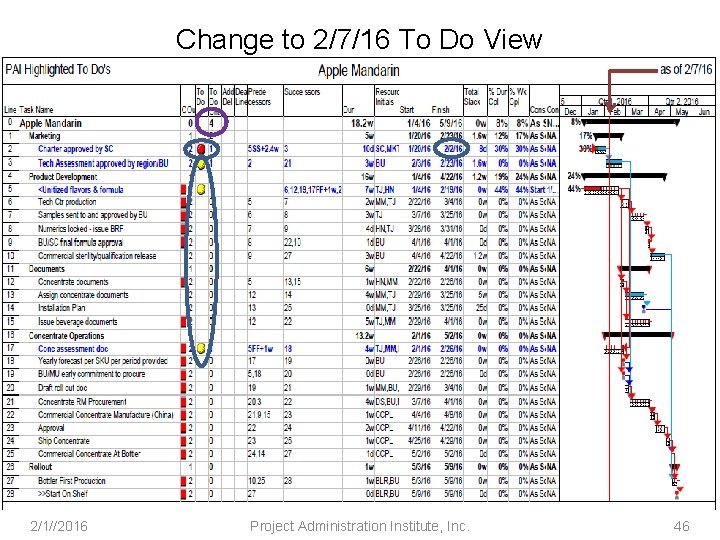 Change to 2/7/16 To Do View 2/1//2016 Project Administration Institute, Inc. 46 