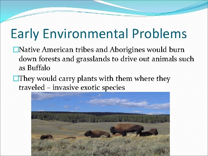 Early Environmental Problems �Native American tribes and Aborigines would burn down forests and grasslands