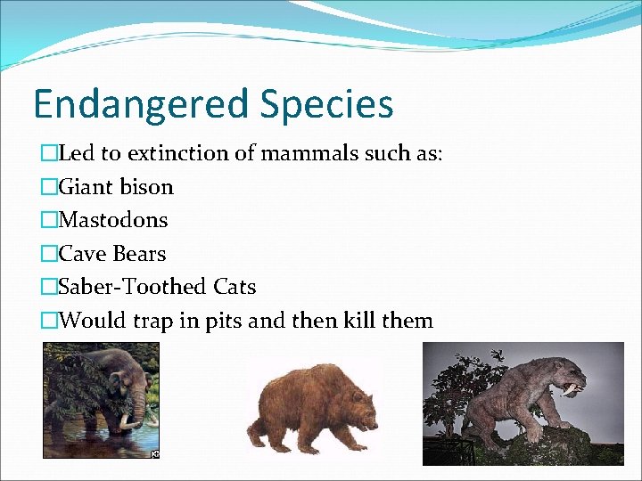 Endangered Species �Led to extinction of mammals such as: �Giant bison �Mastodons �Cave Bears