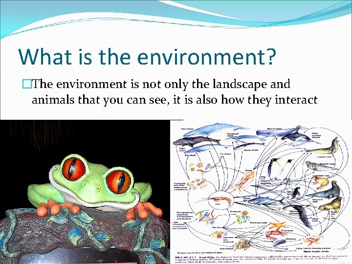 What is the environment? �The environment is not only the landscape and animals that