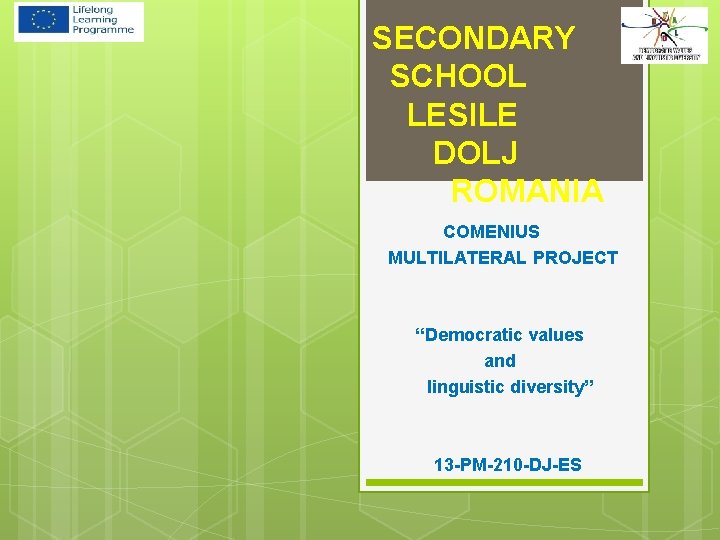 SECONDARY SCHOOL LESILE DOLJ ROMANIA COMENIUS MULTILATERAL PROJECT “Democratic values and linguistic diversity” 13