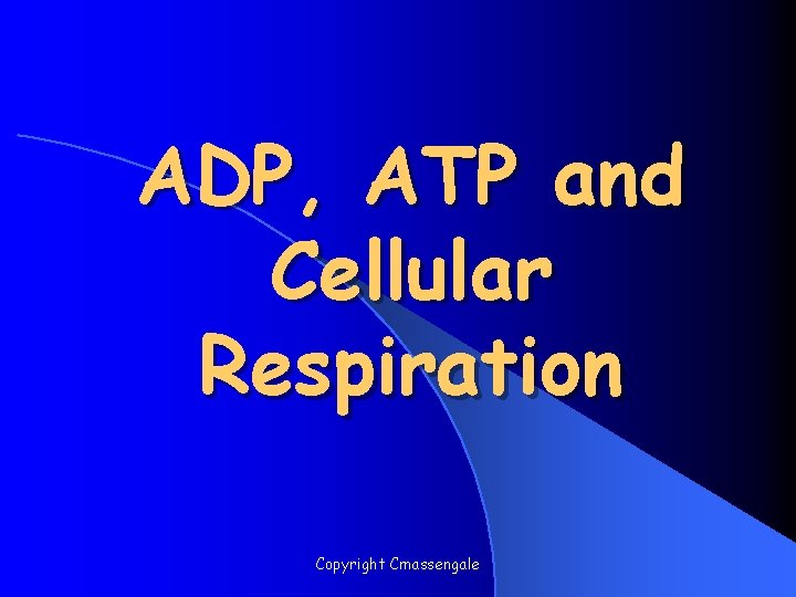 ADP, ATP and Cellular Respiration Copyright Cmassengale 