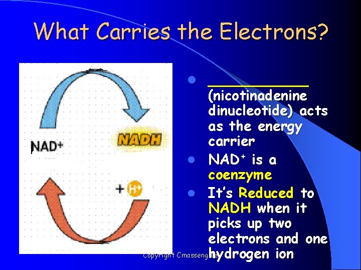 What Carries the Electrons? l _____ (nicotinadenine dinucleotide) acts as the energy carrier l