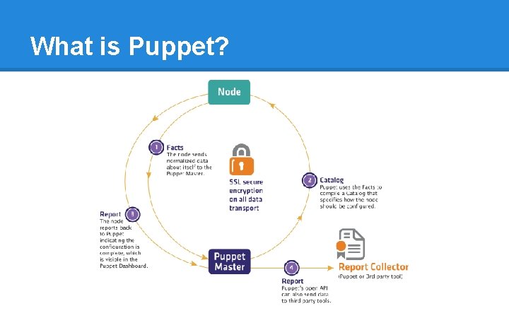 What is Puppet? What is Puppet?