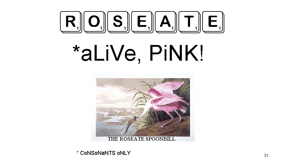 ROSEATE *a. Li. Ve, Pi. NK! THE ROSEATE SPOONBILL * Co. NSo. Na. NTS