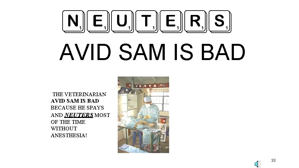 NEUTERS AVID SAM IS BAD THE VETERINARIAN AVID SAM IS BAD BECAUSE HE SPAYS