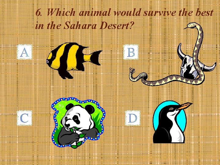 6. Which animal would survive the best in the Sahara Desert? 