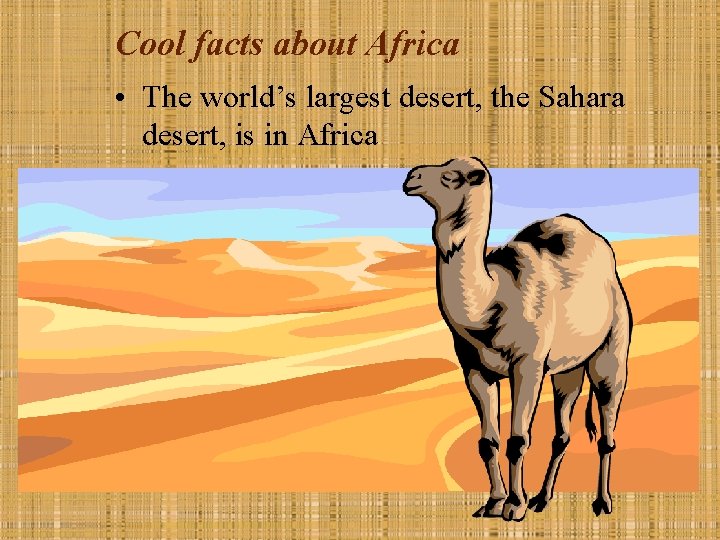 Cool facts about Africa • The world’s largest desert, the Sahara desert, is in