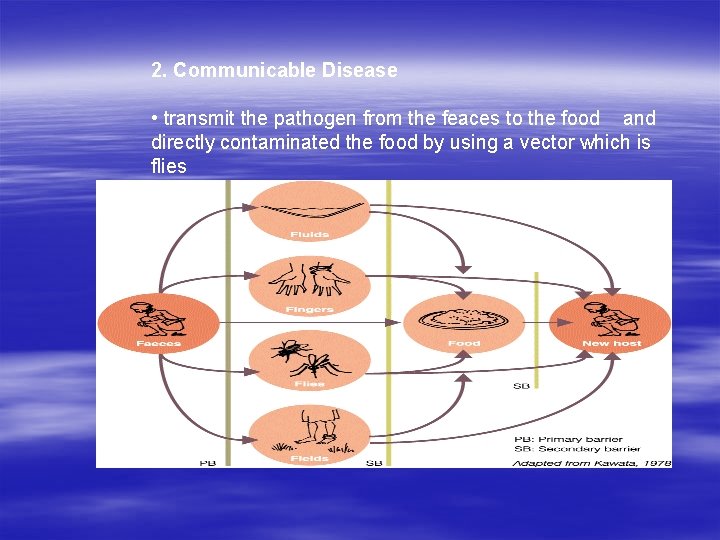 2. Communicable Disease • transmit the pathogen from the feaces to the food and