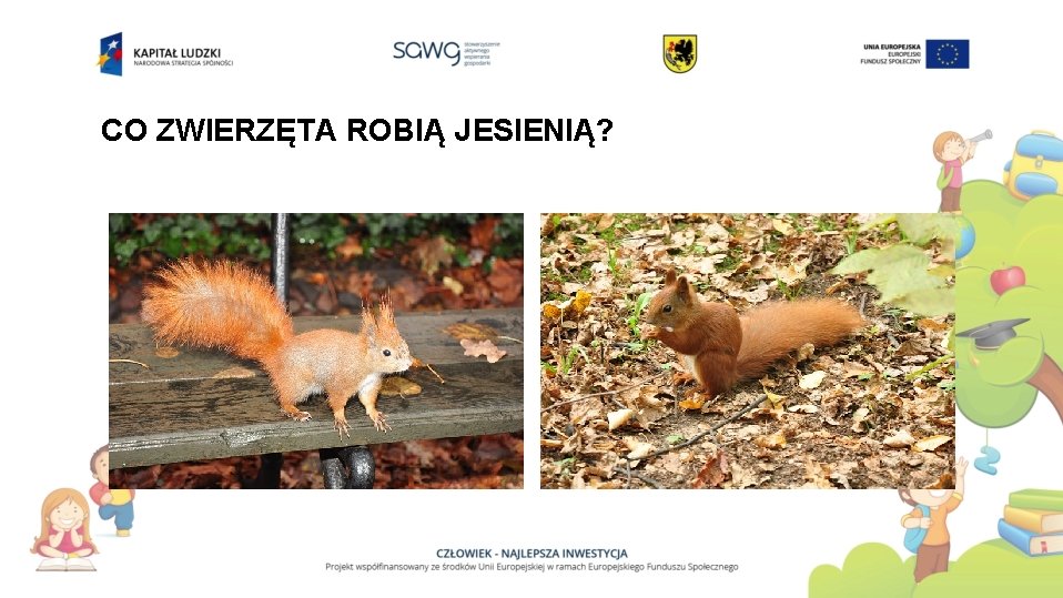 MULTIMEDIALNY SCENARIUSZ ZAJ Edukacja przyrodnicza Poziom klasa I