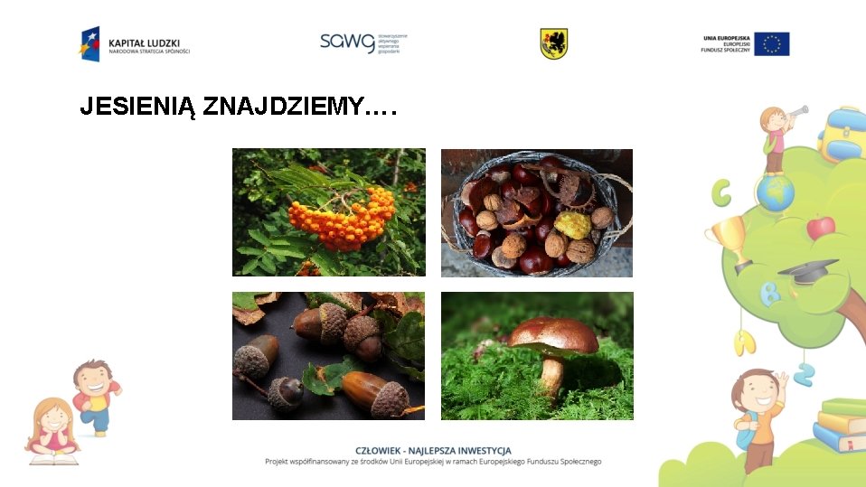 MULTIMEDIALNY SCENARIUSZ ZAJ Edukacja przyrodnicza Poziom klasa I