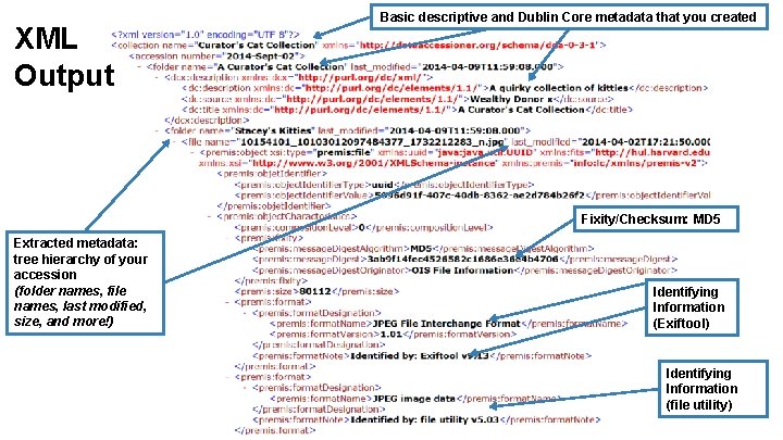 XML Output Basic descriptive and Dublin Core metadata that you created Fixity/Checksum: MD 5