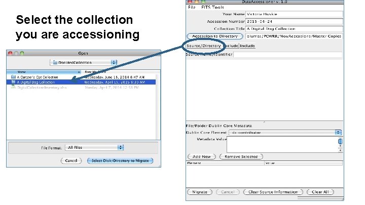 Select the collection you are accessioning 