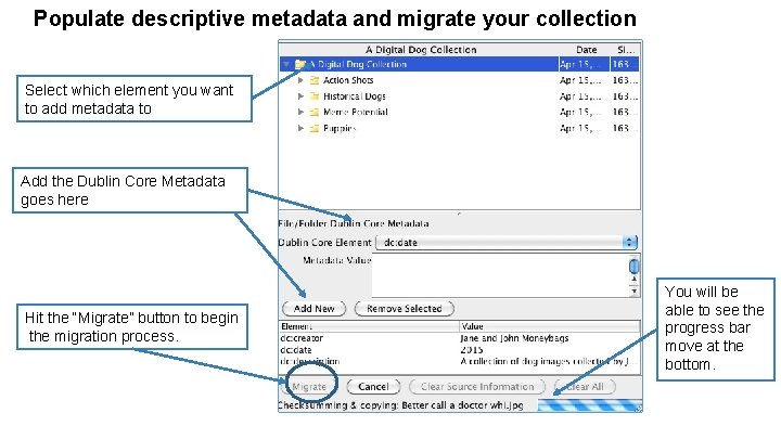 Populate descriptive metadata and migrate your collection Select which element you want to add