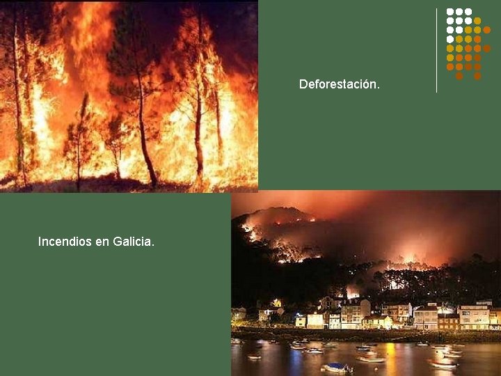Deforestación. Incendios en Galicia. 