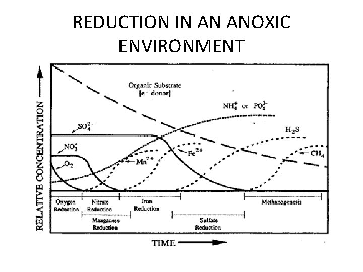 REDUCTION IN AN ANOXIC ENVIRONMENT 