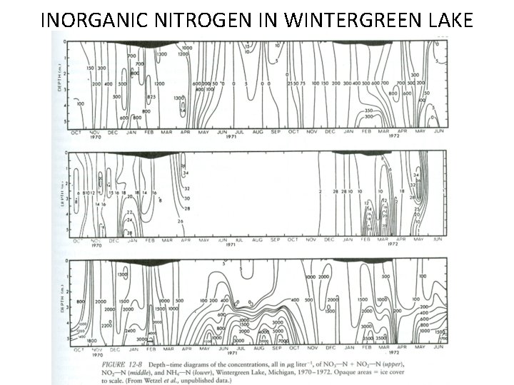 INORGANIC NITROGEN IN WINTERGREEN LAKE 