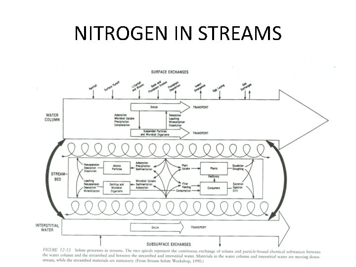 NITROGEN IN STREAMS 