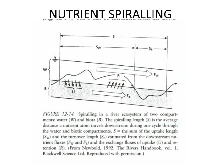 NUTRIENT SPIRALLING 