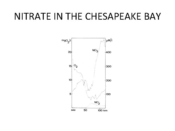 NITRATE IN THE CHESAPEAKE BAY 