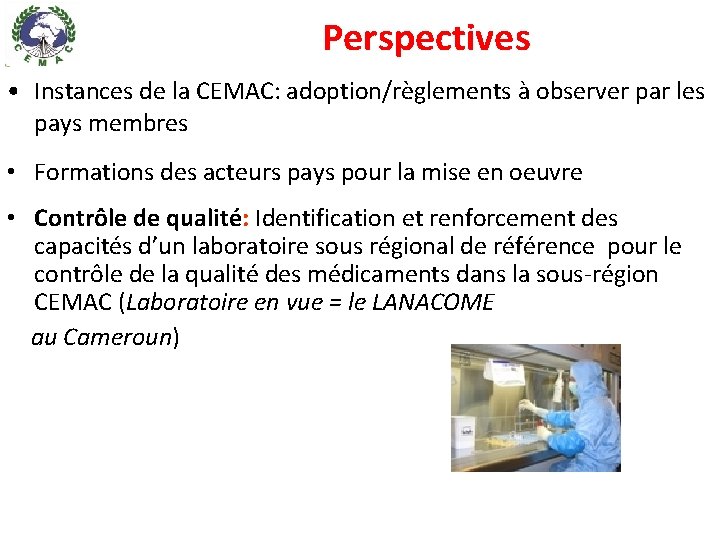 Perspectives • Instances de la CEMAC: adoption/règlements à observer par les pays membres •