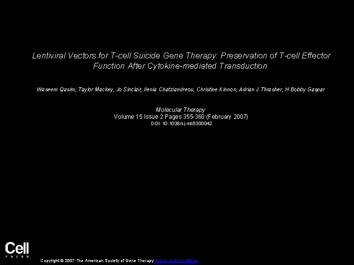 Lentiviral Vectors for T-cell Suicide Gene Therapy: Preservation of T-cell Effector Function After Cytokine-mediated