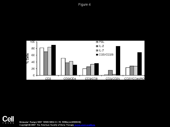 Figure 4 Molecular Therapy 2007 15355 -360 DOI: (10. 1038/sj. mt. 6300042) Copyright ©