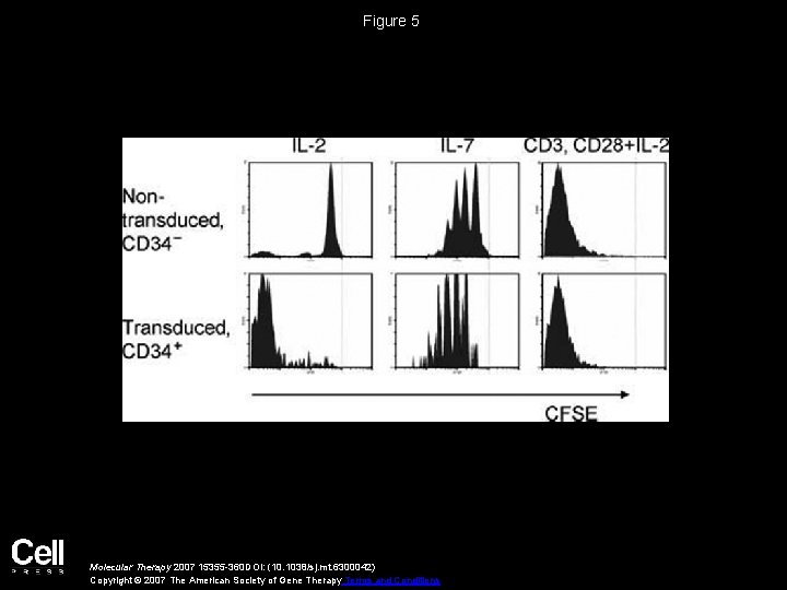 Figure 5 Molecular Therapy 2007 15355 -360 DOI: (10. 1038/sj. mt. 6300042) Copyright ©