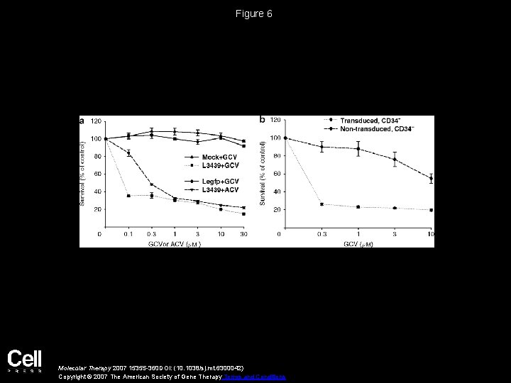 Figure 6 Molecular Therapy 2007 15355 -360 DOI: (10. 1038/sj. mt. 6300042) Copyright ©