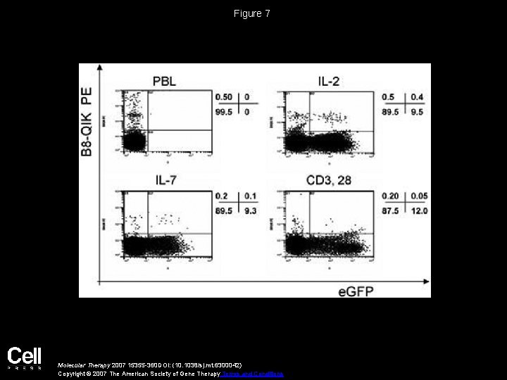 Figure 7 Molecular Therapy 2007 15355 -360 DOI: (10. 1038/sj. mt. 6300042) Copyright ©